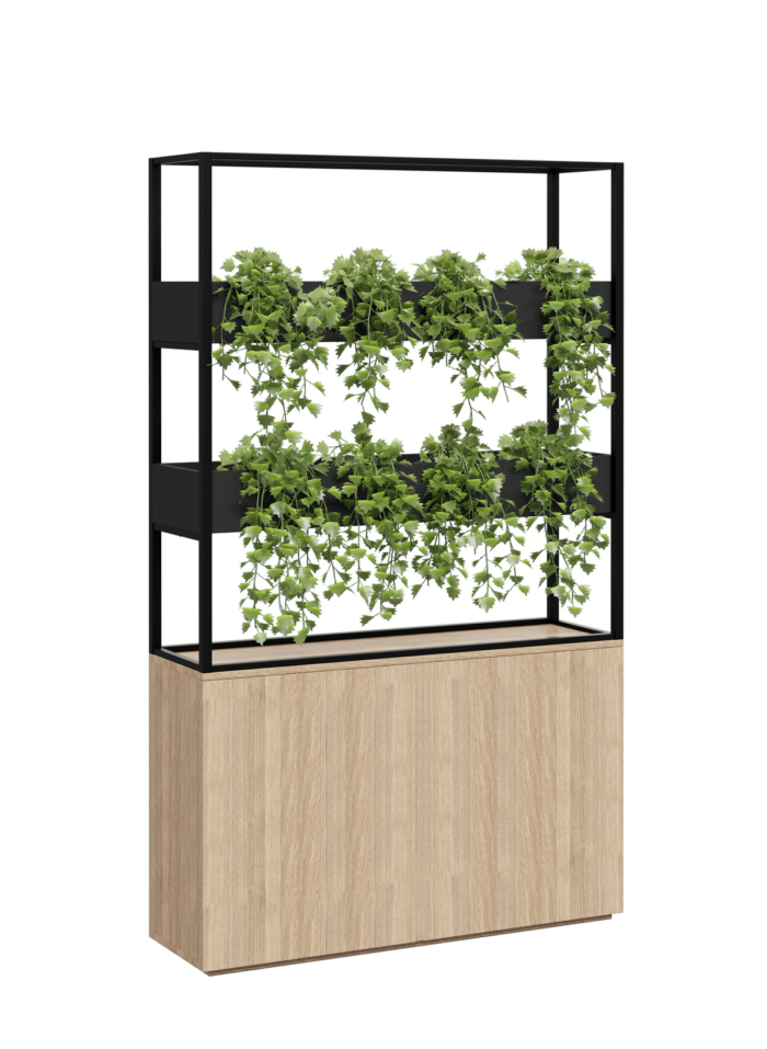 DD Cafe Vertical Garden