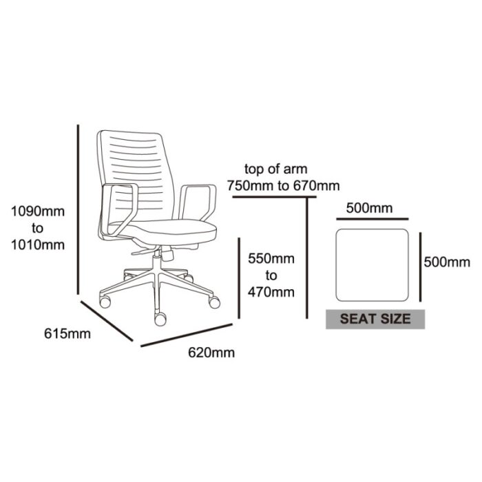 MA Neon Executive Low Back Chair